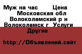 Муж на час...  › Цена ­ 100 - Московская обл., Волоколамский р-н, Волоколамск г. Услуги » Другие   